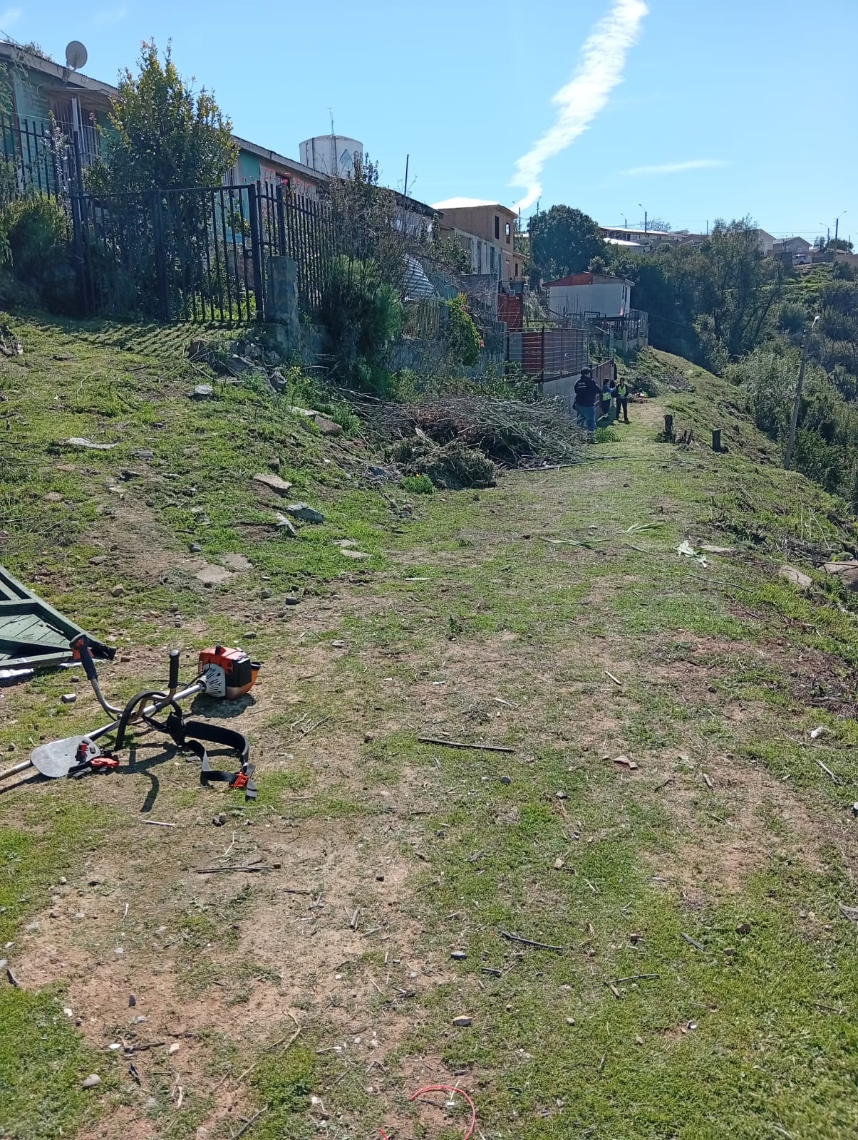 Trabajos municipales de desmalezado en cortafuegos